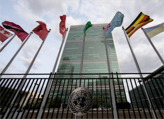 UNGA Adopts China-Proposed Resolution to Enhance Int'l Cooperation on AI Capacity-Building