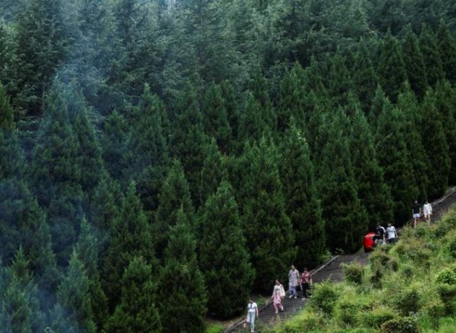 China Issues Guidelines to Ramp up Green Transition of Economic, Social Development