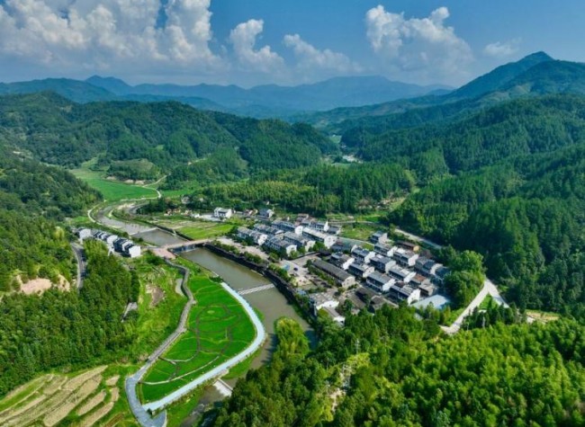 China Leads World in Carbon-Sink Capacity of Forests, Grassland