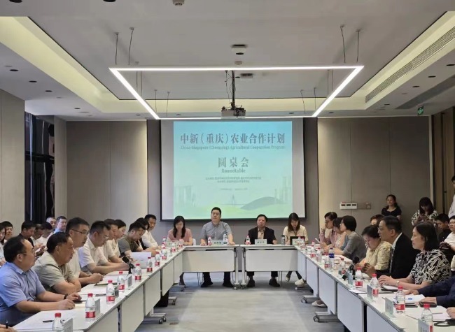 Chongqing Hosts China-Singapore Agricultural Roundtable to Boost Trade Cooperation