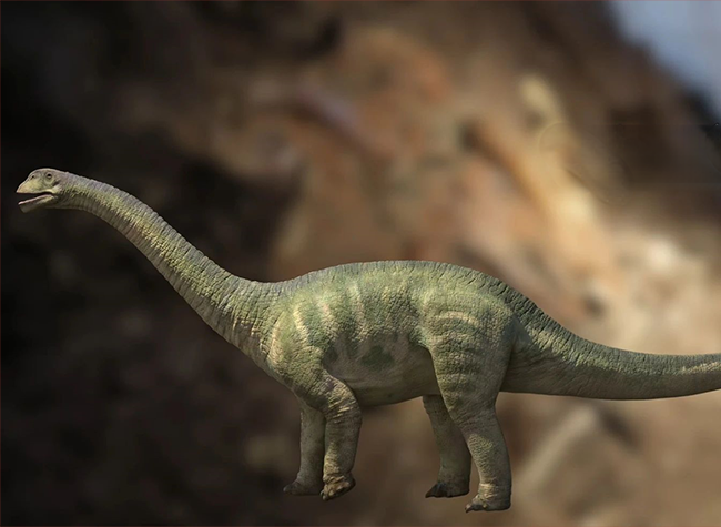 New Dinosaur Species Discovered at Chongqing's Yunyang Fossil Wall
