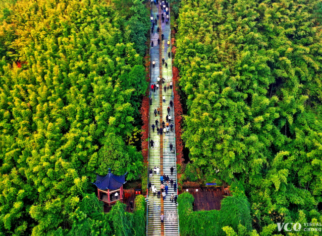 'Green City: Discover My City' Original Short Video Exhibition Kicks Off