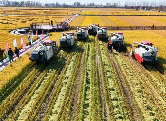 High Tech Propels Bumper Harvests in China's Grain-Producing Provinces