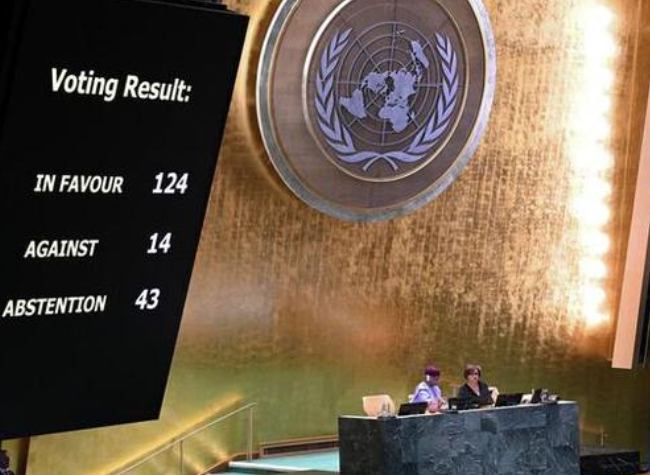 UNGA Calls for End to Israeli Occupation in Palestine Within a Year