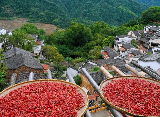 Int'l Summit for Tourism Villages Highlights Valuable Insights into Rural Development