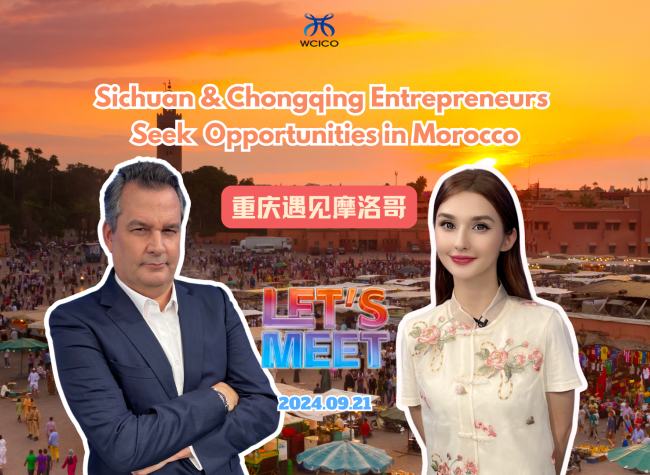 Sichuan & Chongqing Entrepreneurs Seek Business Opportunities in Morocco | Let's Meet ㊴