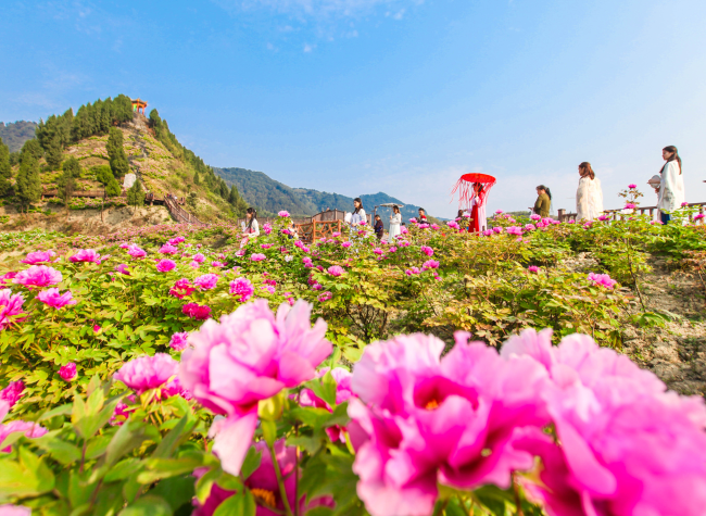 A New Paradigm for Rural Revitalization: Building a Modern Suburban New City