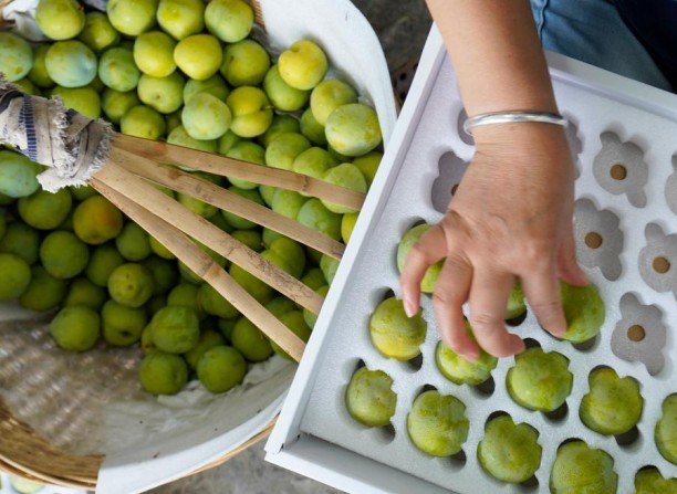 Wushan Crispy Plums Boost Market Reach with Product Diversification