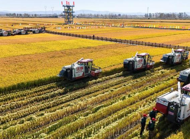 China Sees Sound Fundamentals to Reap Another Bumper Grain Harvest