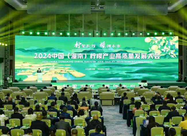 Tongnan Lemon: Building China's Premier Lemon Brand