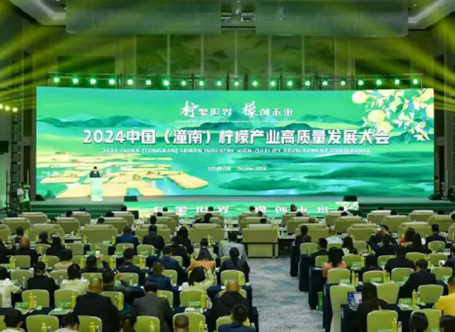 Tongnan Lemon: Building China's Premier Lemon Brand