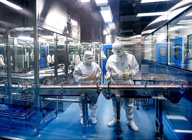 PigGPT: AI-Powered Digital Platform Supports Small Pig Farmers with Insights and Tech