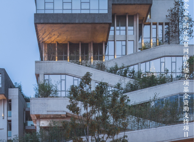 Showcasing Western China's Eco-Charm to the World With Our Bilingual Q&A on Nature's Harmony