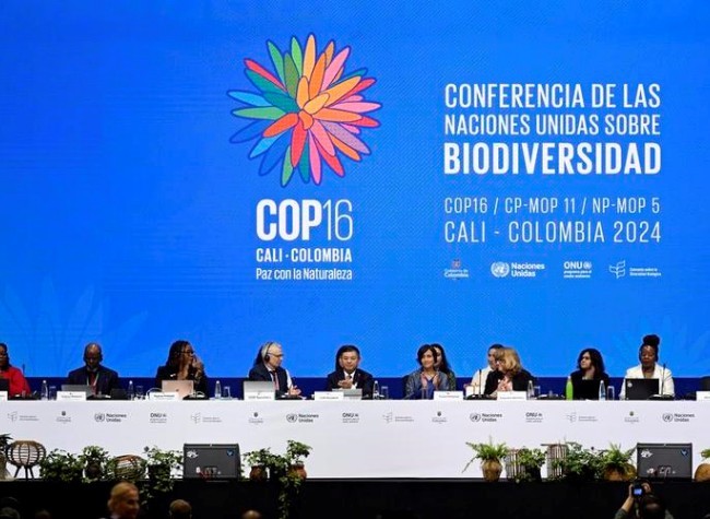 Protecting Biodiversity in Power Facility Projects