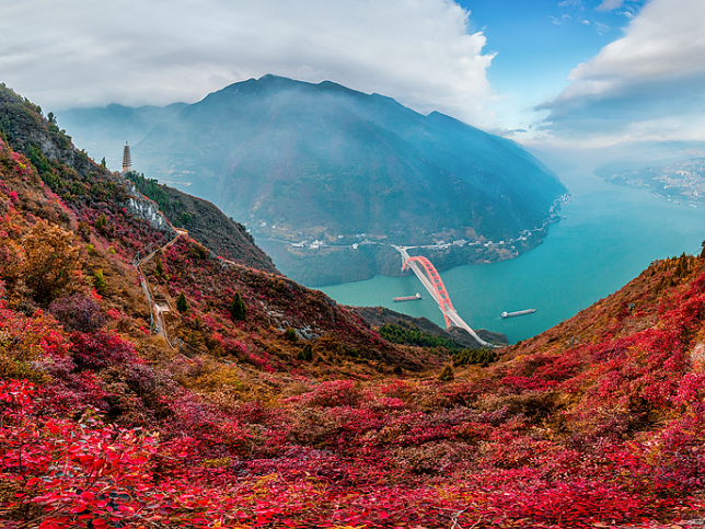 Autumn Bliss in Chongqing: Explore the Season's Highlights