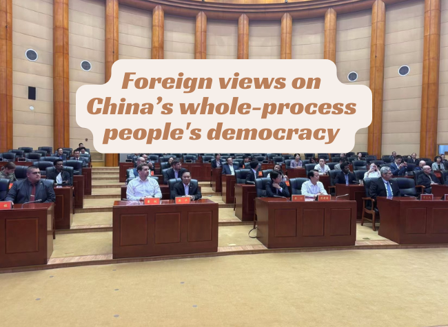 Global Perspectives on China's Whole-Process People's Democracy