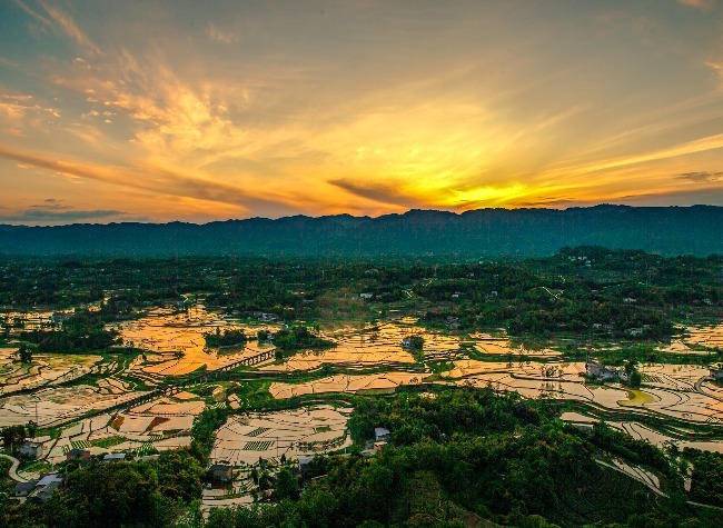 Liangping Joins 'Natural Cities' at COP16, Advancing Chongqing's Biodiversity