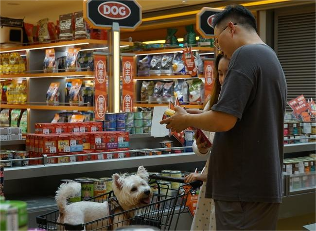 Rise of 'Emotional Economy' Reflects New Trends, Dynamics in China's Consumption