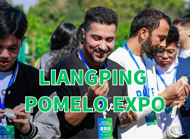 The 7th Yangtze Three Gorges Pomelo Expo Opened in Liangping, Chongqing