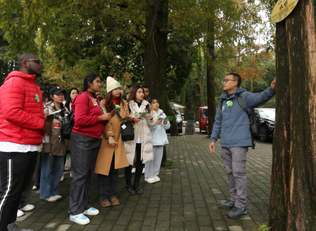 Int'l Youth Volunteers Explore Jinyun Mountain at 'Land & Sea China' Event