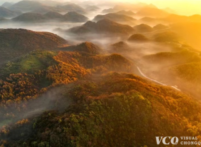 Visual Chongqing | Weekly City Views on Nov. 7-13, 2024