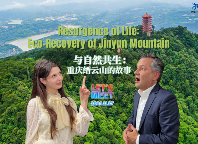 Resurgence of Life: Eco-Recovery of Jinyun Mountain | Let's Meet