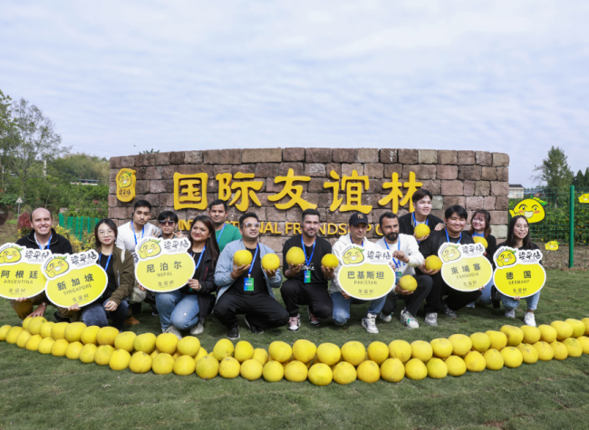 Liangping Int'l Pomelo Expo Attracts Global Guests with Cultural, Culinary Experiences