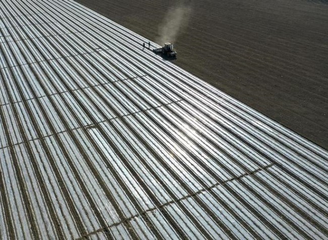 From Cotton to Data, Tech-Driven Industrial Renewal Spins New Economic Threads