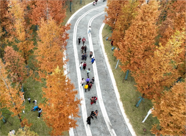 Chongqing Enhances Public Parks to Better Serve Citizens of All Ages