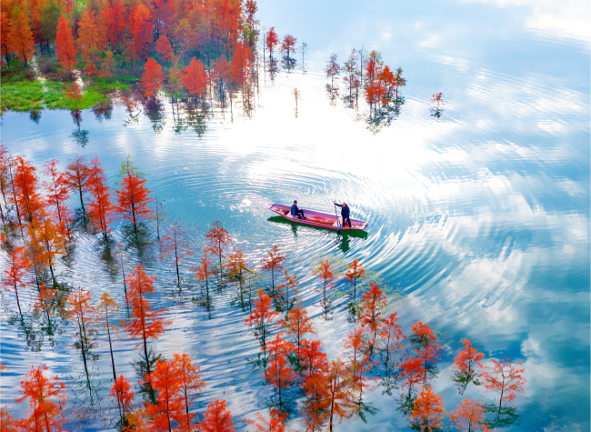 Visual Chongqing | Weekly City Views on Dec. 12-18, 2024