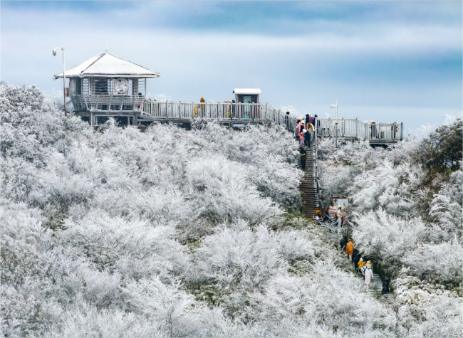 From 'Cold Resources' to 'Hot Industry': Winter Tourism Heats Up with Fresh Trends