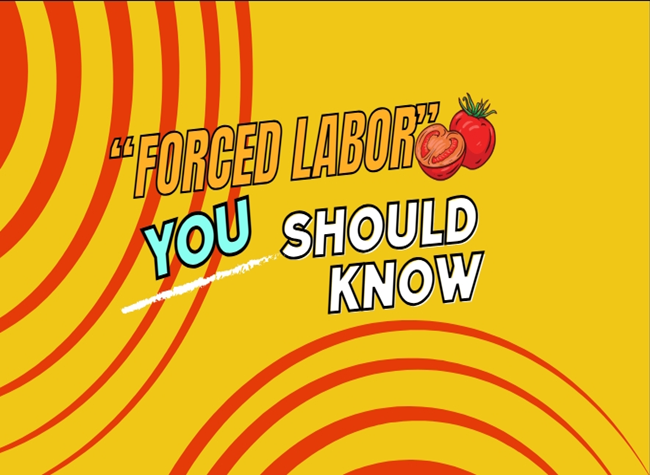 Truth Behind Xinjiang Rumors | Duck & Ruby Talk Show