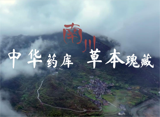 A Treasure Trove of Precious Chinese Medicinal Herbs | Nanchuan District