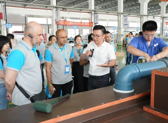 'Chongqing Enterprises Go Global with Enthusiasm,' Says Foreign Business Rep | Insights