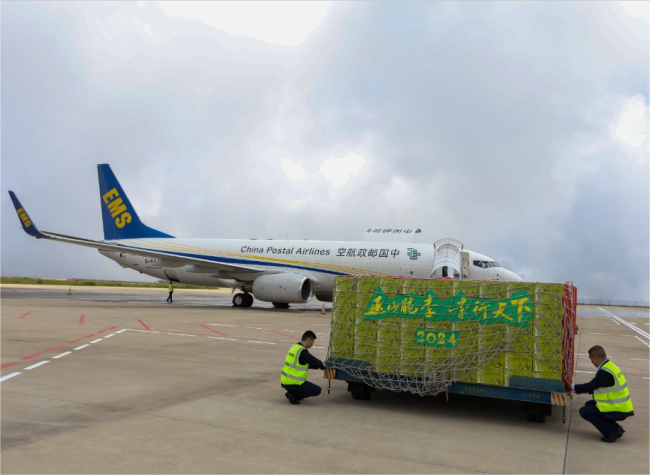 Chongqing Wushan's Nationally Pioneering Logistics Model Bridges 'First Mile' and 'Last Mile' Challenges