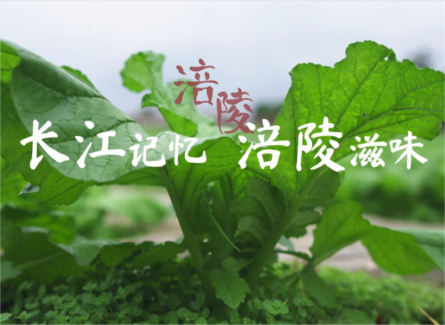 Gustatory Memories of the Yangtze River | Fuling District