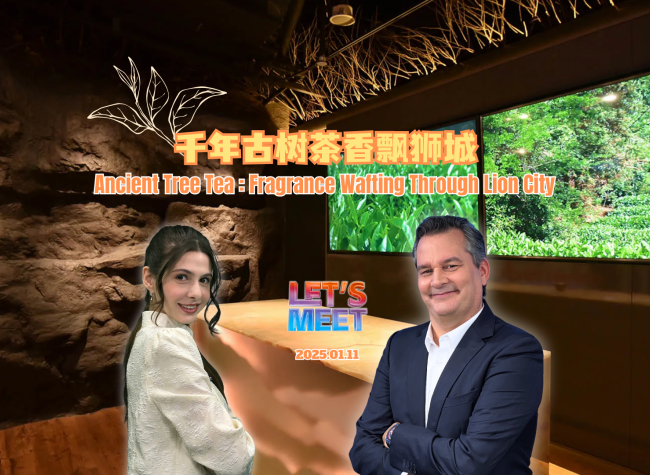 Ancient Tree Tea : Fragrance Wafting Through Lion City | Let's Meet