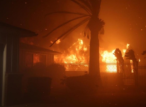 From Ashes to Action: Lessons from the Los Angeles Wildfires | Opinion