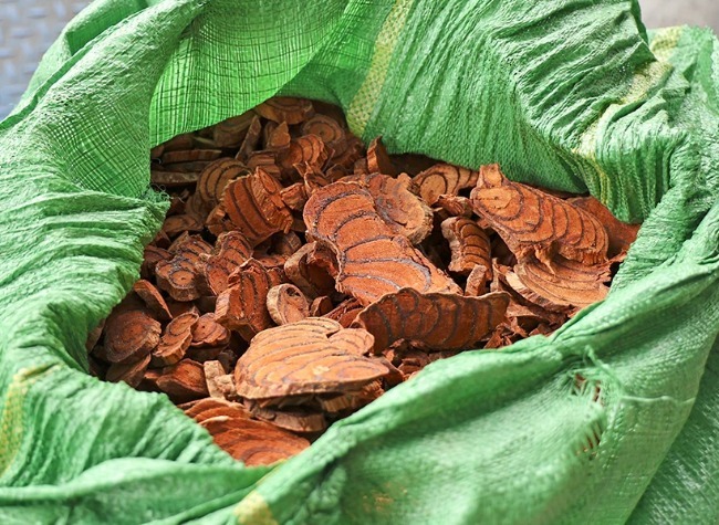 China-Laos Railway Facilitates First Import of Chinese Medicinal Herbs