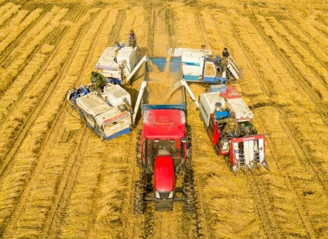 China's New Push for Rural Reform, Revitalization