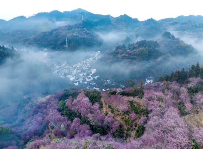 Silver Economy Boosts Cultural, Elderly Tourism