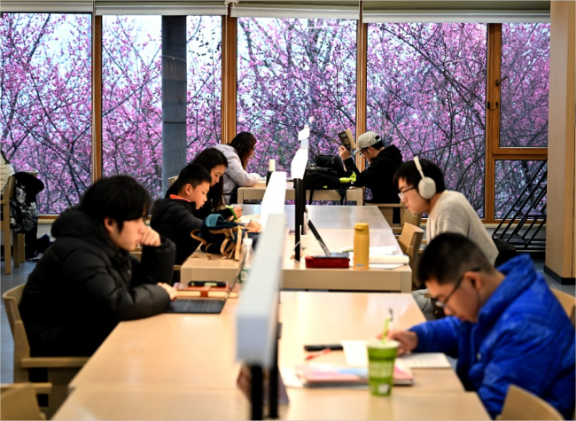 Spring Awakens in Chongqing: A City in Motion and Bloom | Pic Story