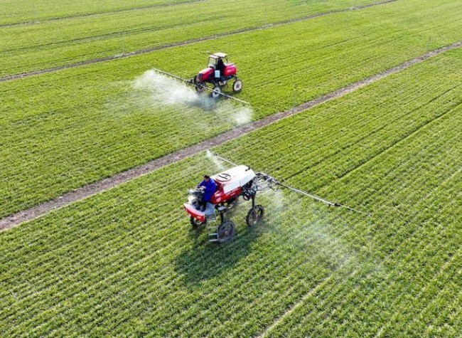 Tech Innovation Cultivates New Productive Forces in China's Rural Revitalization