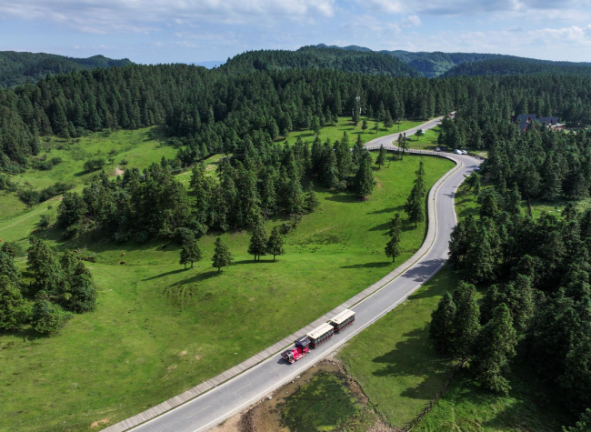 A Light Hiking Trend in Chongqing