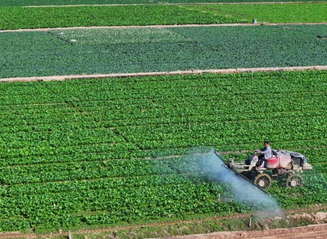 China's All-Round Efforts to Drive Agricultural Development