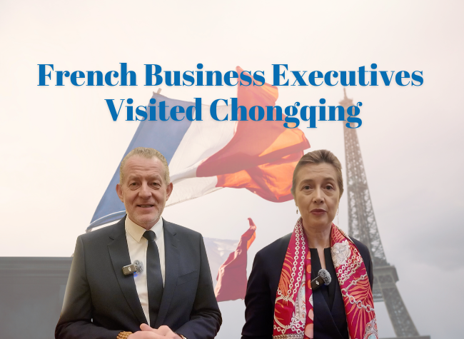 France China Committee: Chongqing Offers Huge Opportunities, Especially in Environment, Industry, and Tech