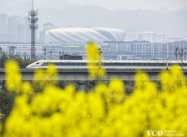 Visual Chongqing | Weekly City Views on March 17-23, 2025