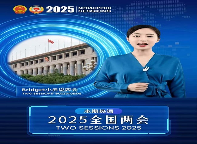 Buzzwords of Two Sessions①: Two Sessions 2025