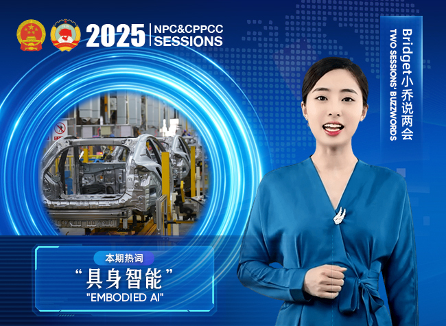 Buzzwords of Two Sessions④: 'Embodied AI'