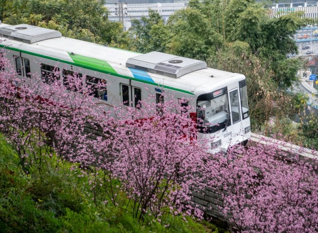 Chongqing Strives to Become the First-Stop City for Inbound Tourism, Opening Up a New Patten for Int'l Tourism